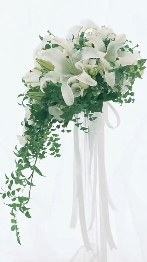 花#苹果6高清壁纸,iphone 6 plus高清壁纸,不是高清我不发,更锻同