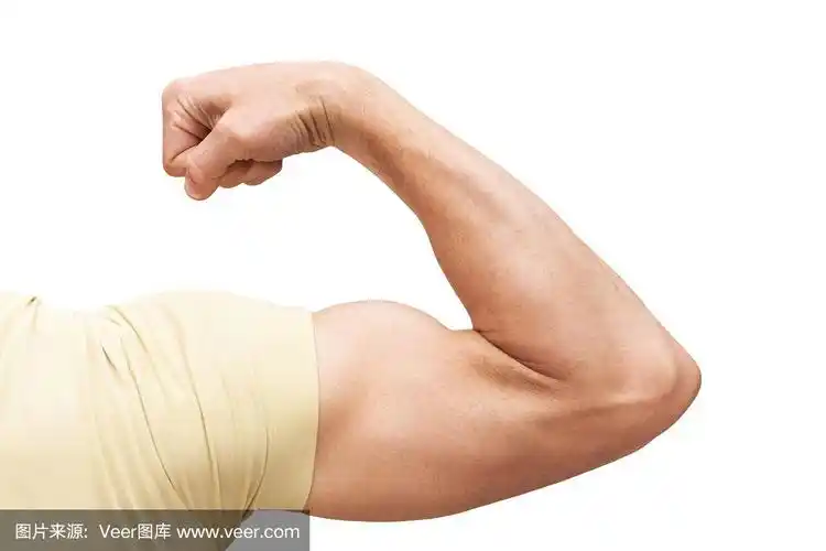 强壮的男性手臂显示二头肌.特写照片孤立在白色