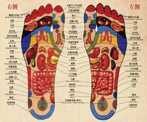 湿气重百病生每晚用它祛湿又排毒睡眠好了健康又漂亮
