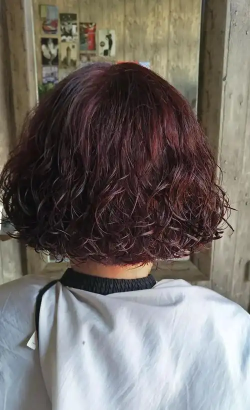 2018狗年流行"泰迪卷