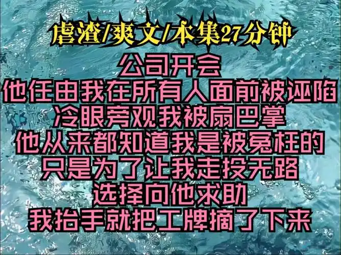 《你好收租》公司开会他任由我在所有人面前被诬陷冷眼旁观我被扇巴掌