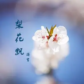 梨花飘(热度:238)由最高理想翻唱,原唱歌手臻言