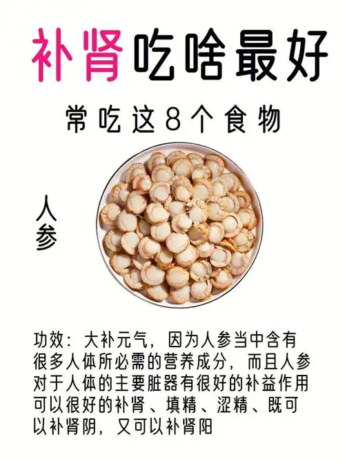 肾虚吃什么补最快73常吃这8种食物帮你补回来!