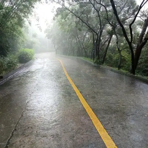下雨天风景这边独好nice