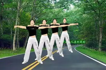 星云广场舞 雨花石(dl版健身操)_百度视频搜索