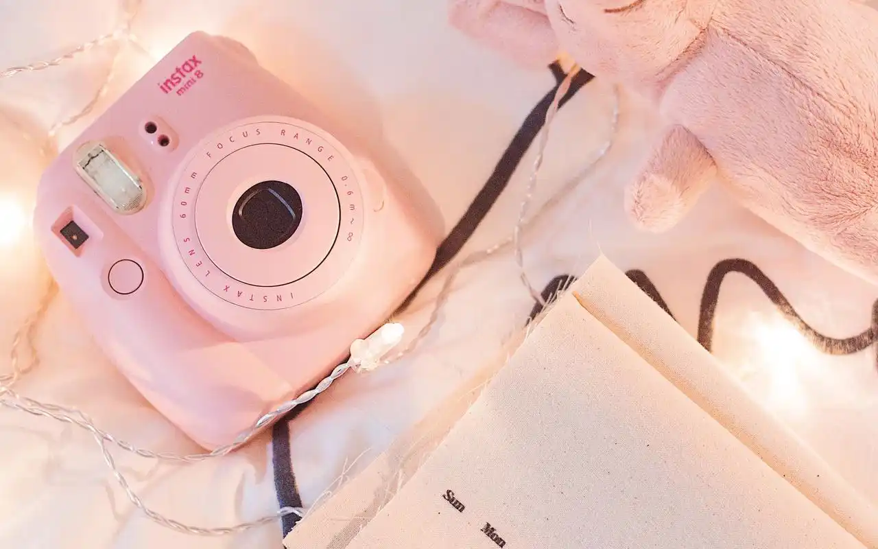 粉色系小清新唯美静物高清图片桌面壁纸