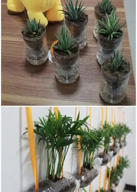 如何用矿泉水瓶做花瓶矿泉水瓶做花瓶手工简易好看