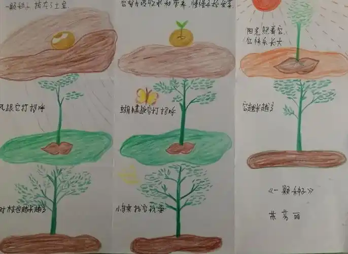 教师:苏芳丽故事:《一粒种子》教师:陈敬故事:《瓶子里的鱼》教师