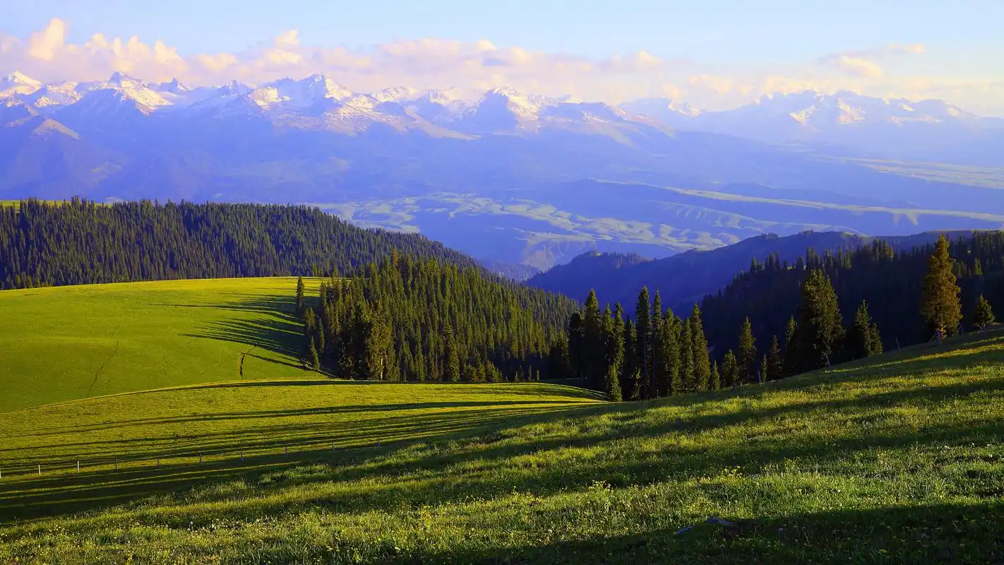 唯美清新草原护眼桌面壁纸