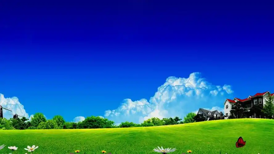 【一组高清绿色植物保护视力墙纸桌面壁纸】-【软件及服务】论坛-leno