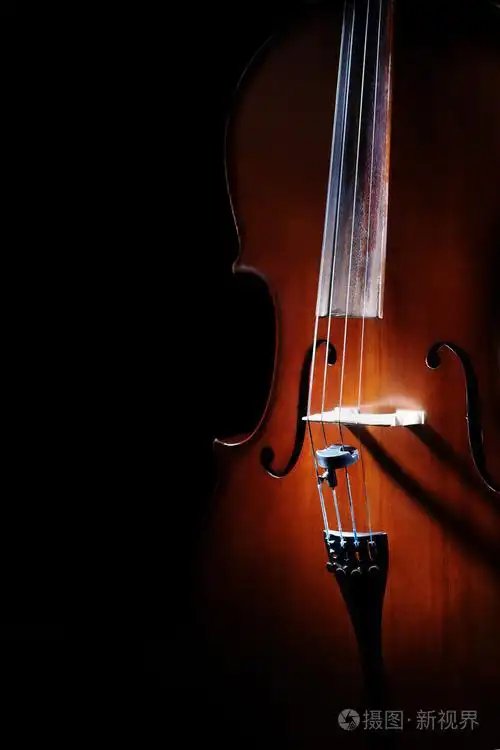 大提琴的特写乐团乐器