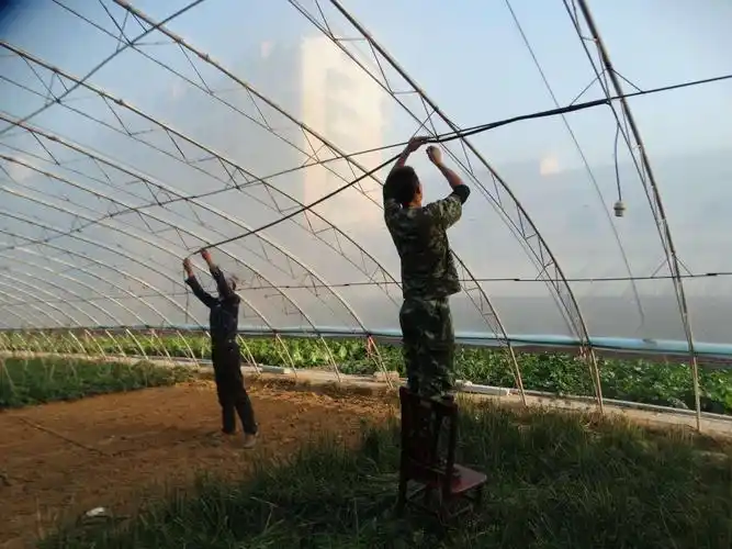 站前街中队完成对蔬菜大棚安装日照灯工作