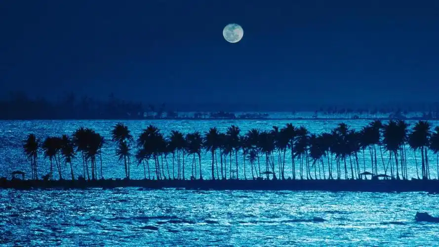 蓝色月光hd桌面壁纸:宽屏:高清晰度:全屏