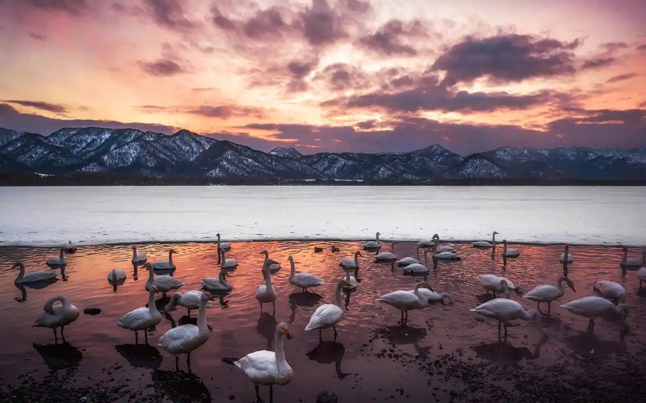 唯美自然风光高清摄影图片桌面壁纸