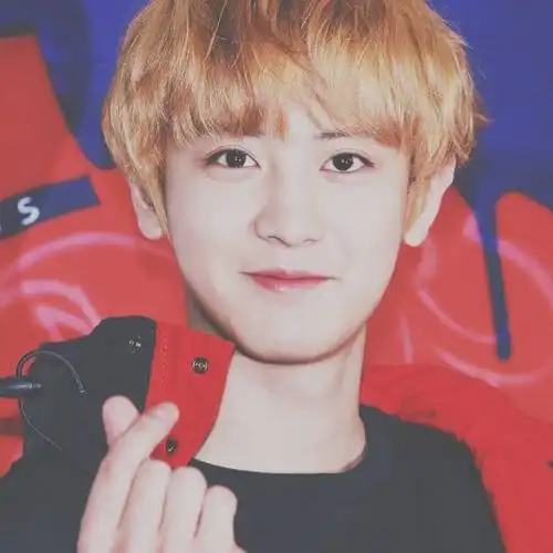 朴灿烈 pcy chanyeol 金发 可爱顺毛