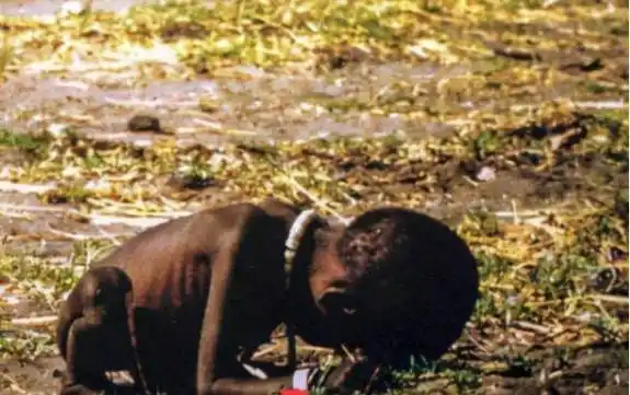 28年前,那个被秃鹫死死盯着的黑人"小女孩",后来活下来了吗