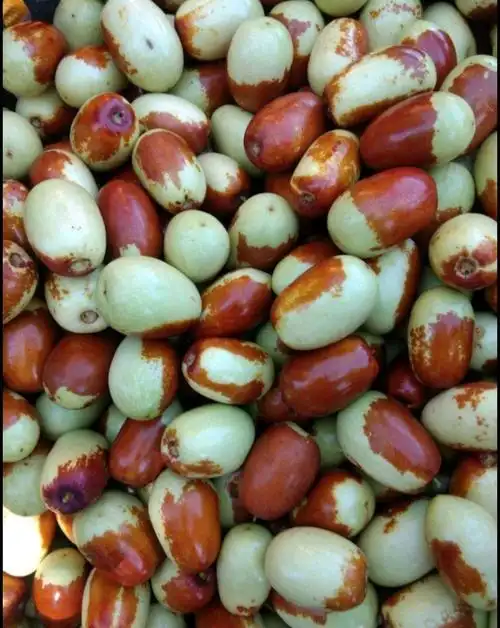 发布信息,请使用万农网app