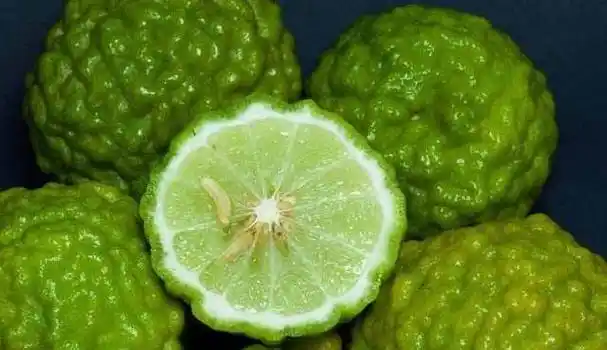 第二个想要介绍给大家的奇怪的水果就是红香蕉了,平常我们见到的香蕉