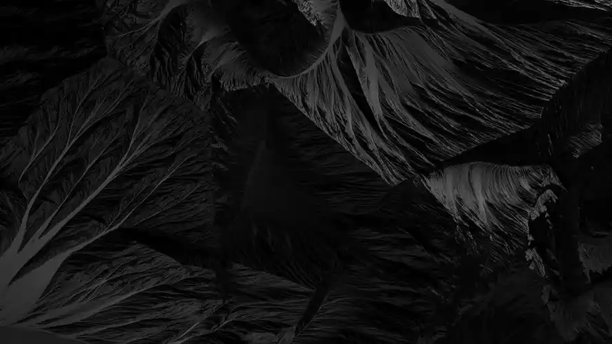 有什么性冷淡风的壁纸