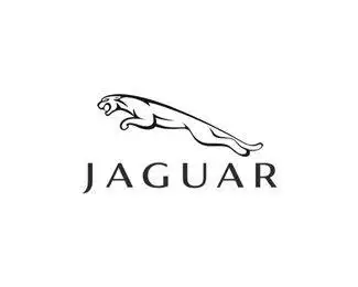 捷豹(jaguar)
