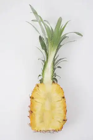 单个物体图片_全景网