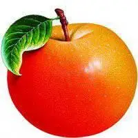 水果微信头像图片大全【点击鼠标右键下载】