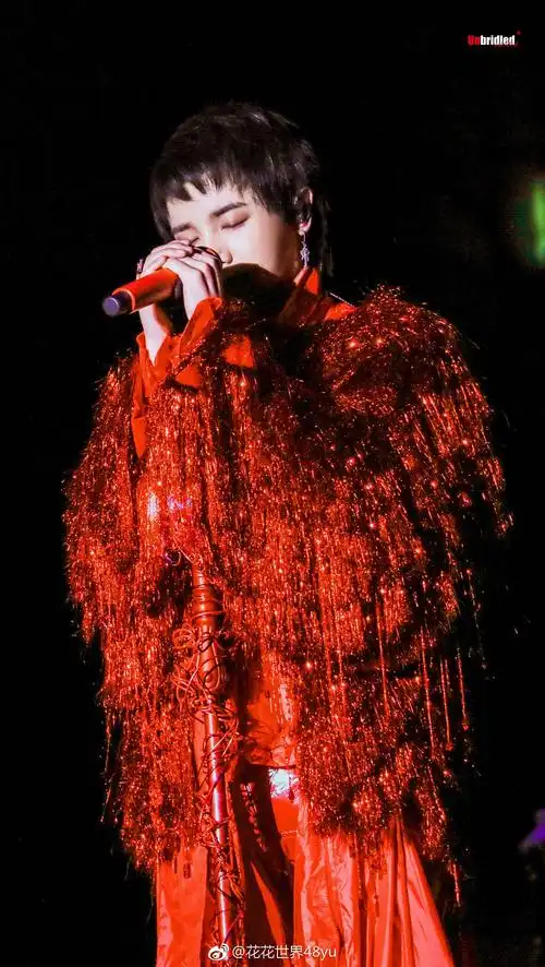 花花火星演唱会