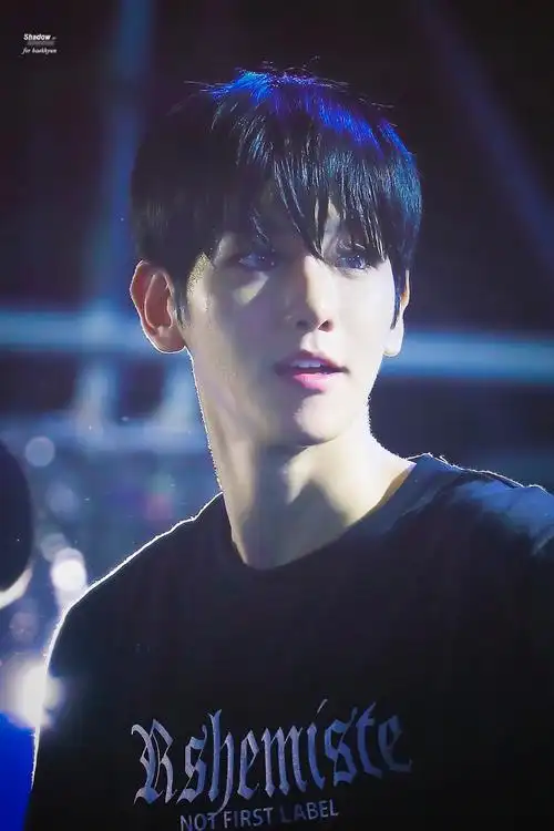 边伯贤monster##边伯贤