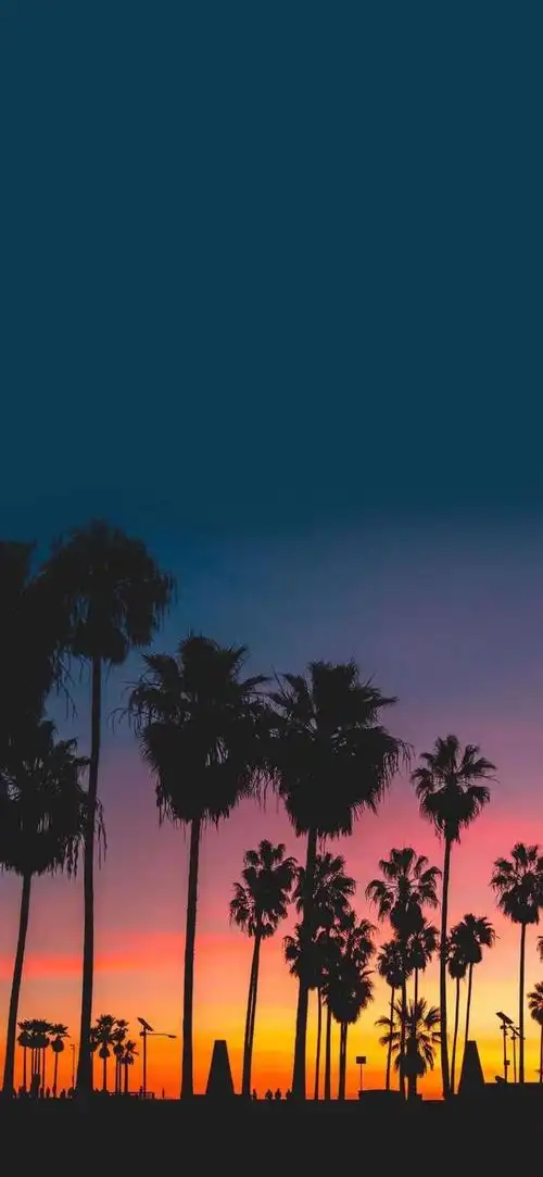 潮流壁纸精选20210628