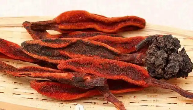 神奇补阳草,唤醒您一天的肾动力!