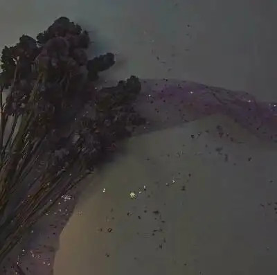 好看死的壁纸 ins 可爱 软妹 背景图 网红 原宿