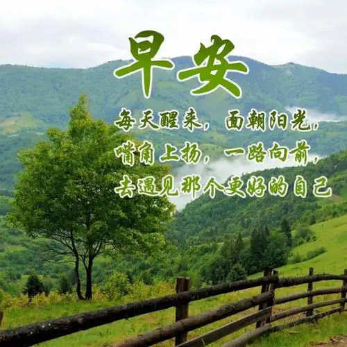 阳光心态正能量的句子八个字,15个充满阳光和正能量的句子 - 冷求网