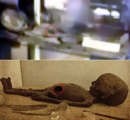 外星人真的来过地球罗斯威尔事件新照曝光