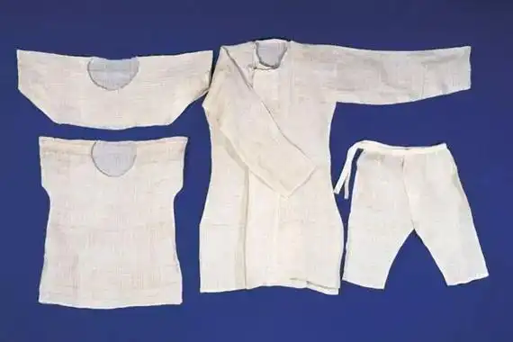 棉花最早是作为观赏花被引进中国的,那古人靠什么挺过寒冬?