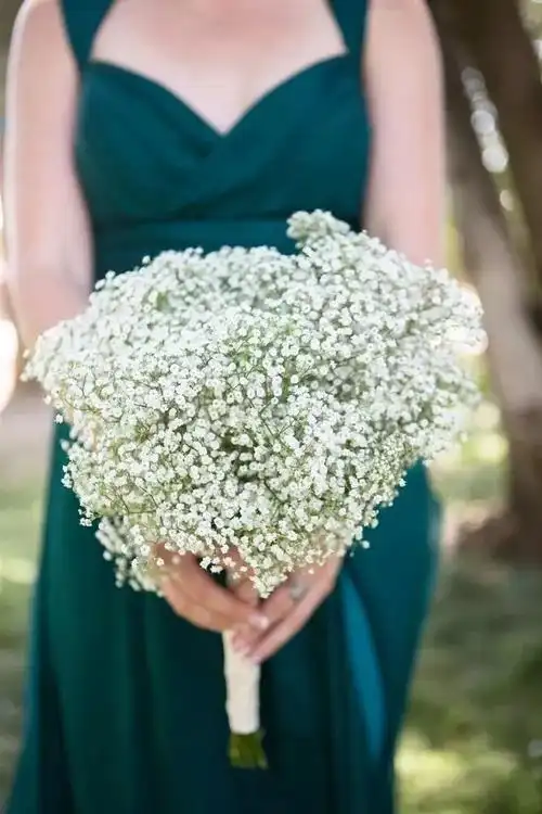 手捧满天星的图片唯美图片