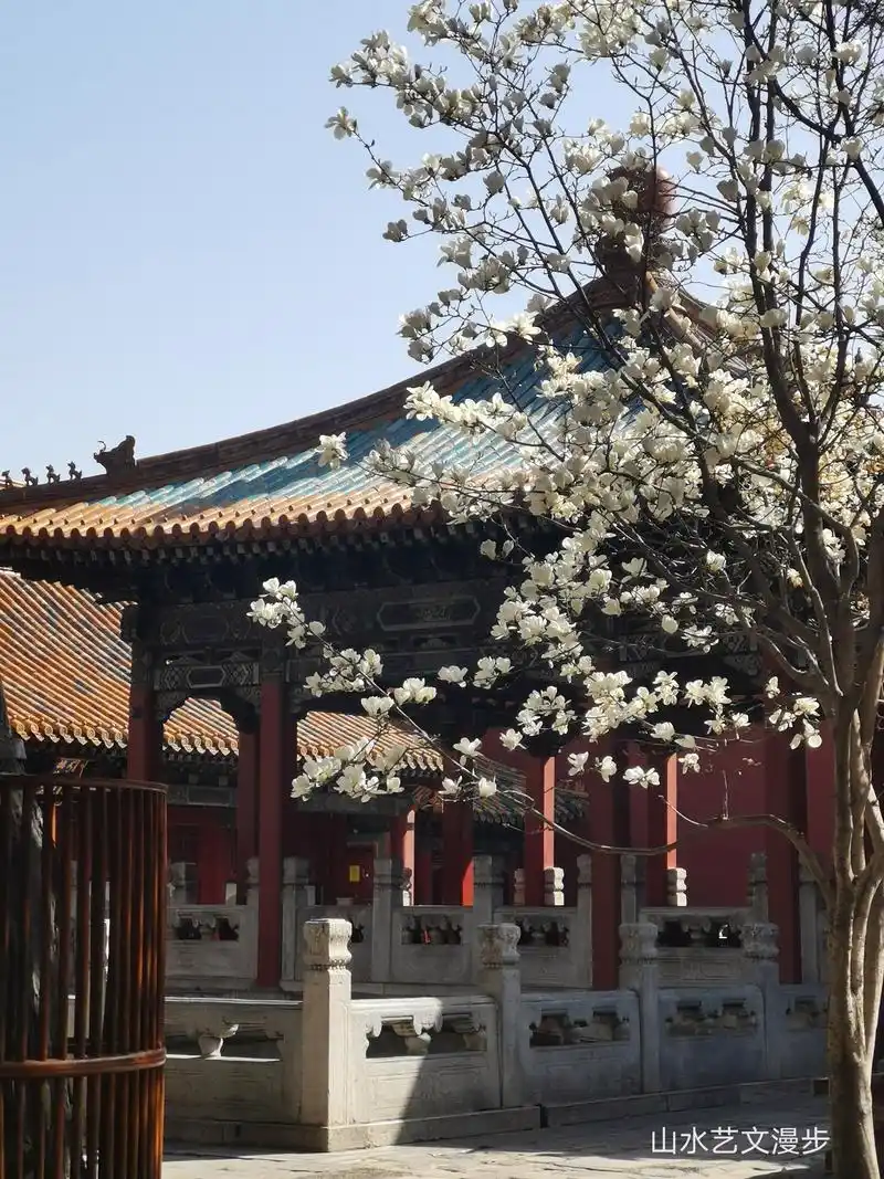 北京故宫御花园:春光正好