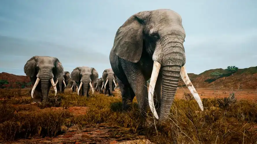 动物界生存-动物界生存下载(暂无下载)-66街机网