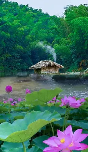 归隐天涯,深山老屋为家,远离尘世繁华,忙时修篱种花,静心修仙无人打扰