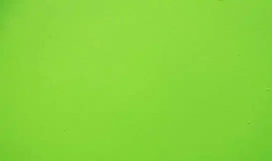 裙子依旧清纯好看|古驰|卫衣|撞色|墨绿色|连衣裙|针织衫_网易订阅