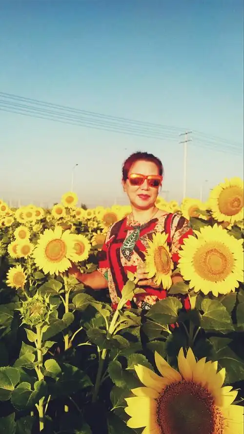 微笑拥抱每一天,做像向日葵般温暖的女子.