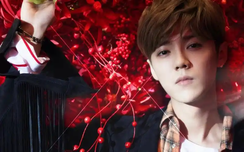 2017最新鹿晗壁纸依然帅气的鹿晗