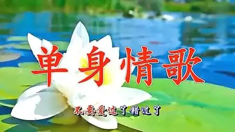 老歌经典,林志炫《单身情歌》伤感旋律,唱出很多单身人的心情