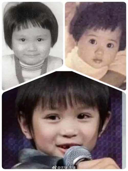 点进来就可以看到萌萌哒的张智霖