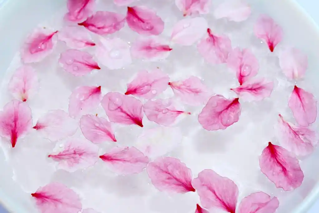 在水中的桃花瓣,在水中的桃花瓣