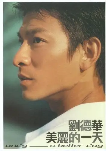 刘德华 - 肉麻情歌