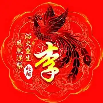 换个头像重头再来,霸气姓氏头像姓氏头像凤凰涅槃