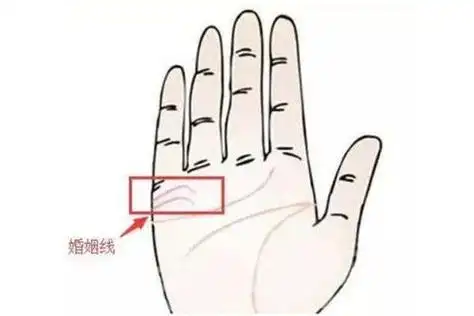 三条婚姻线哪个是真的维持婚姻方法有哪些