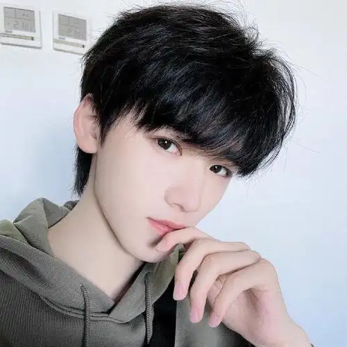 假头男短发韩版帅气学生日常短直发假头套自然少年感发型全头套式花乐