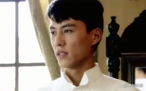 演谁都是自己——黄磊除了靳东,还有另外一位被吐槽演谁都是自己的就