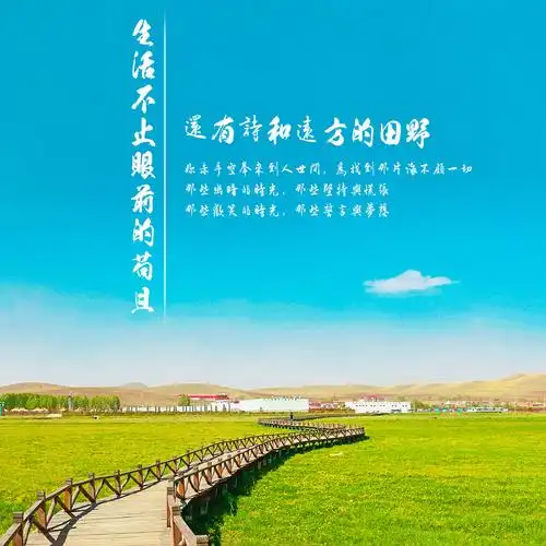 生活不知眼前的苟且